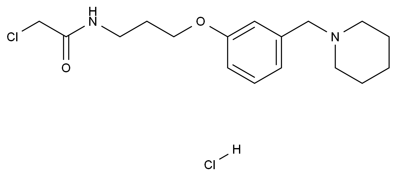 C4X-121321