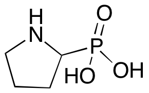 {$productinfo->name}