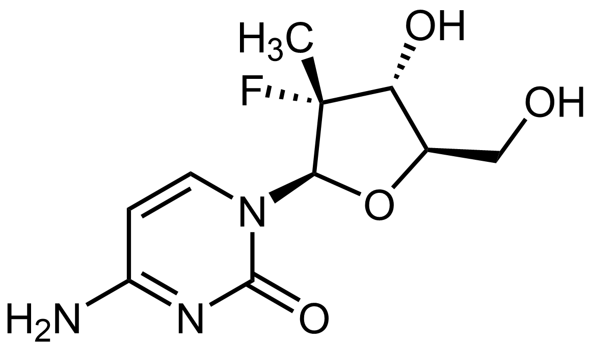 {$productinfo->name}