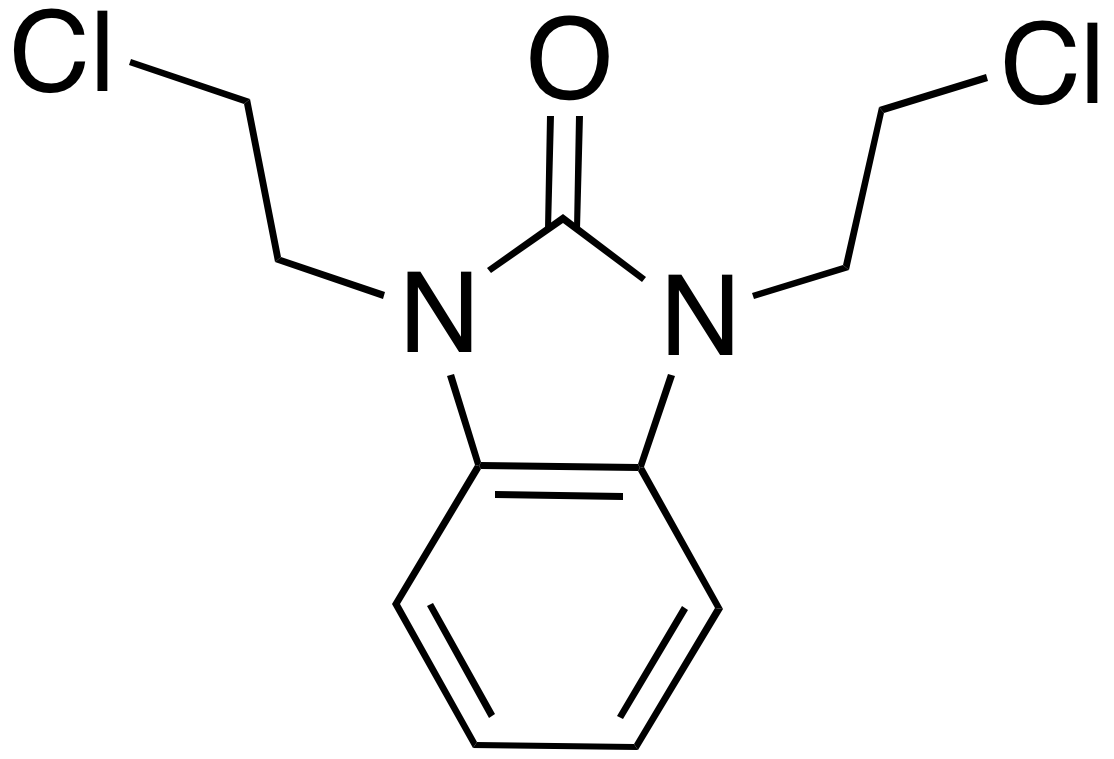 C4X-198113