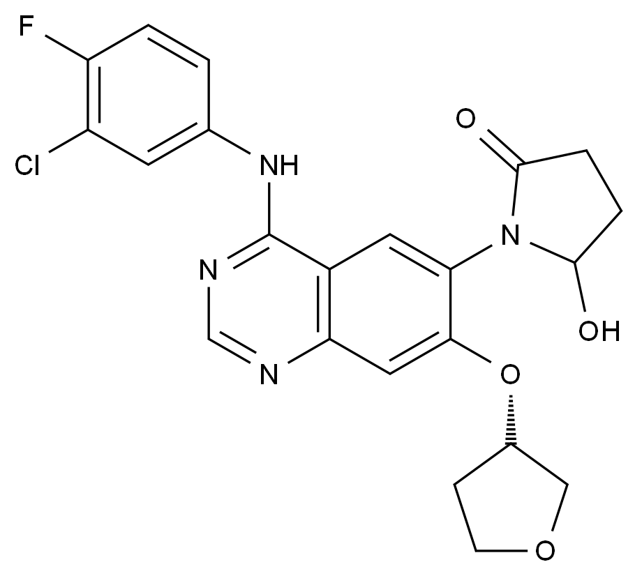 C4X-100619