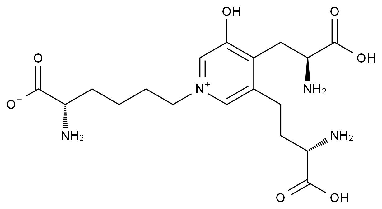 C4X-28241