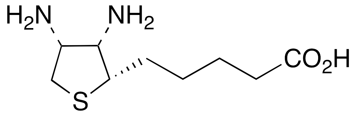 C4X-15638