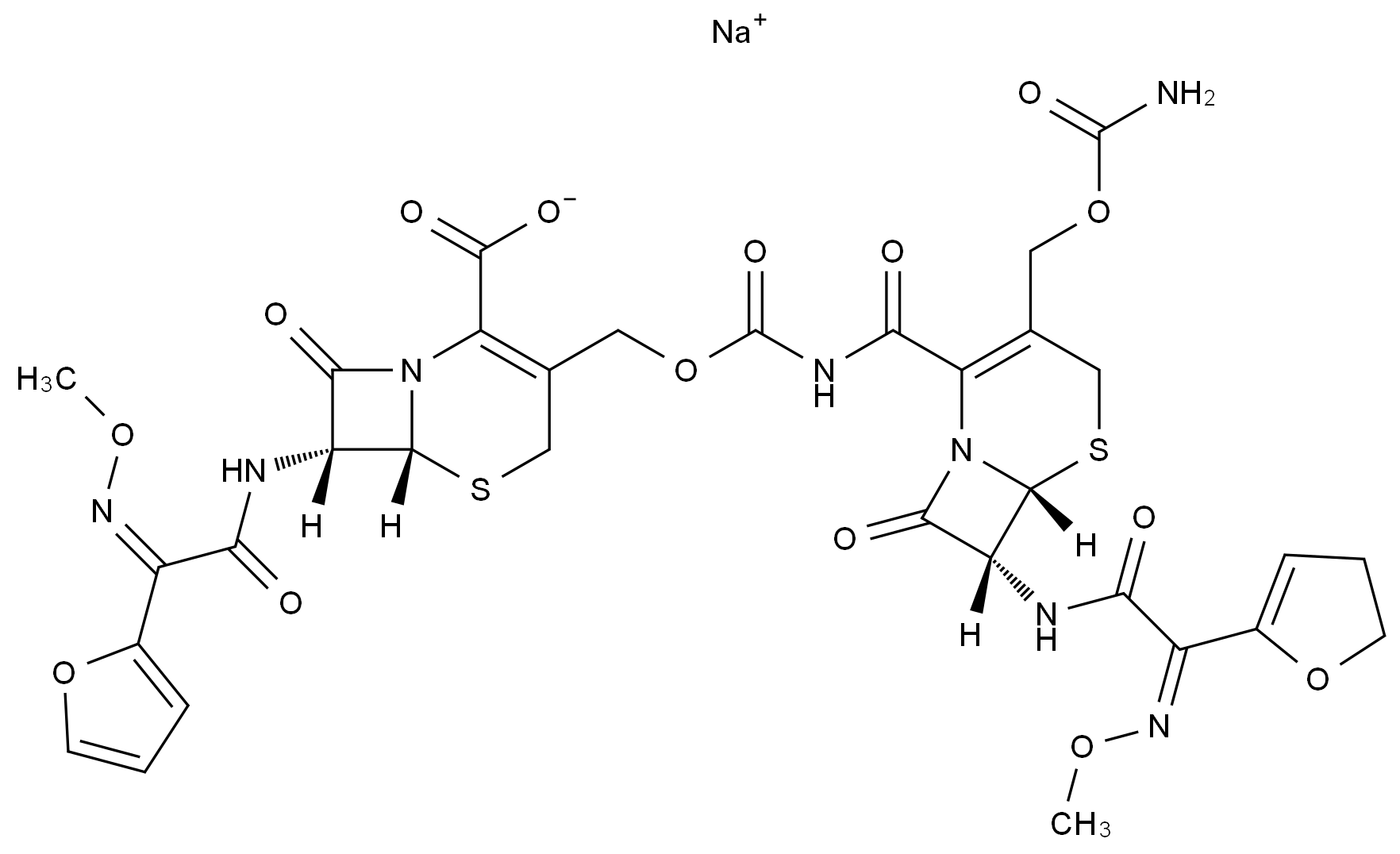 C4X-124539