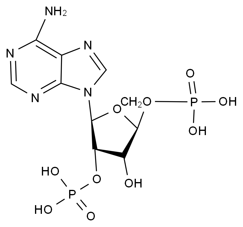 C4X-138113