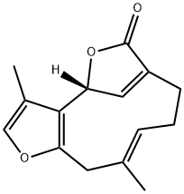 728-61-0_异乌药内酯