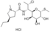 21462-39-5_盐酸克林霉素