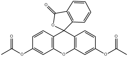596-09-8_荧光素二乙酸盐
